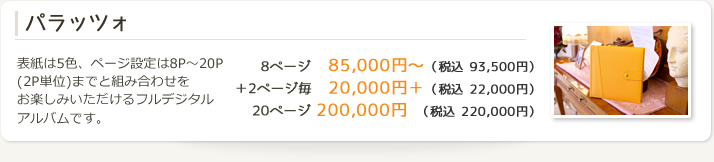 �p���b�c�H