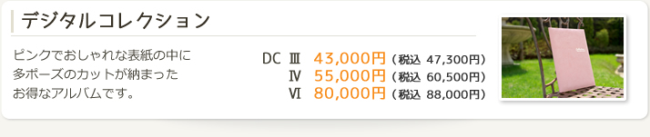 �f�W�^���R���N�V����